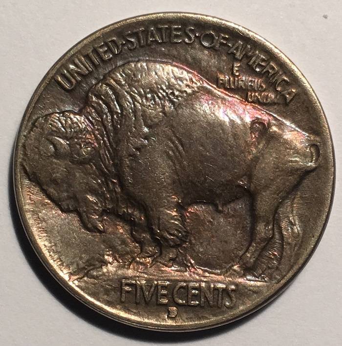 1913-D-Type-1-Buffalo-Indian-Nickel.--Toned.--Gawk.--Grade.