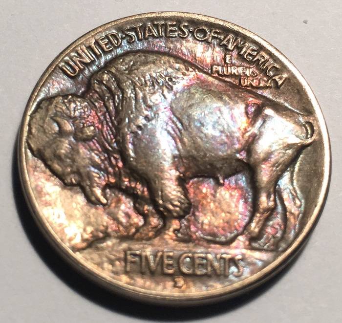 1913-D-Type-1-Buffalo-Indian-Nickel.--Toned.--Gawk.--Grade.