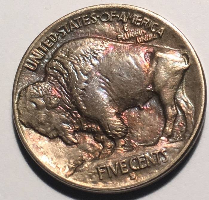 1913-D-Type-1-Buffalo-Indian-Nickel.--Toned.--Gawk.--Grade.