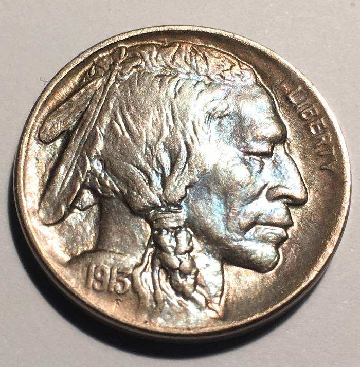 1913-D-Type-1-Buffalo-Indian-Nickel.--Toned.--Gawk.--Grade.