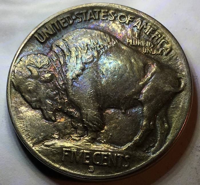 1913-D-Type-1-Buffalo-Indian-Nickel.--Toned.--Gawk.--Grade.