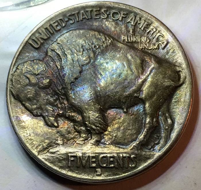 1913-D-Type-1-Buffalo-Indian-Nickel.--Toned.--Gawk.--Grade.