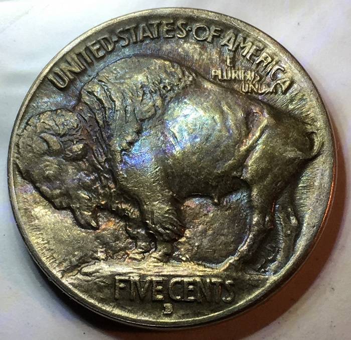 1913-D-Type-1-Buffalo-Indian-Nickel.--Toned.--Gawk.--Grade.