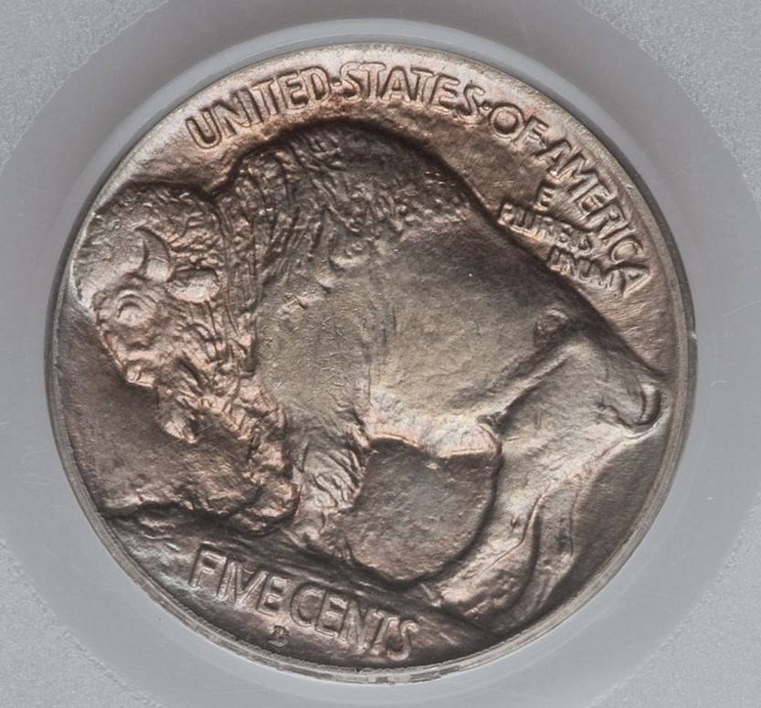 1913-D-Type-1-Buffalo-Indian-Nickel.--Toned.--Gawk.--Grade.
