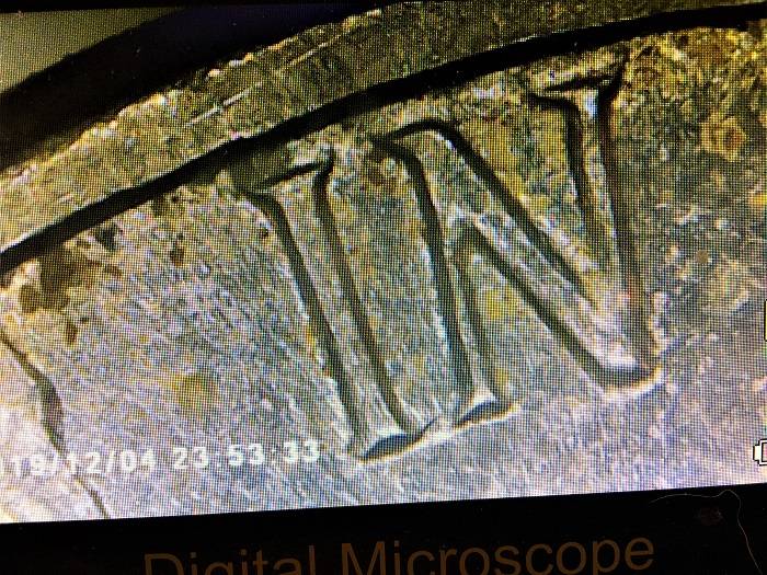 1971-D-Double-Struck-Date/Mm-Jefferson-5c.--Aliens-Landed-On-Thomas'-Head?