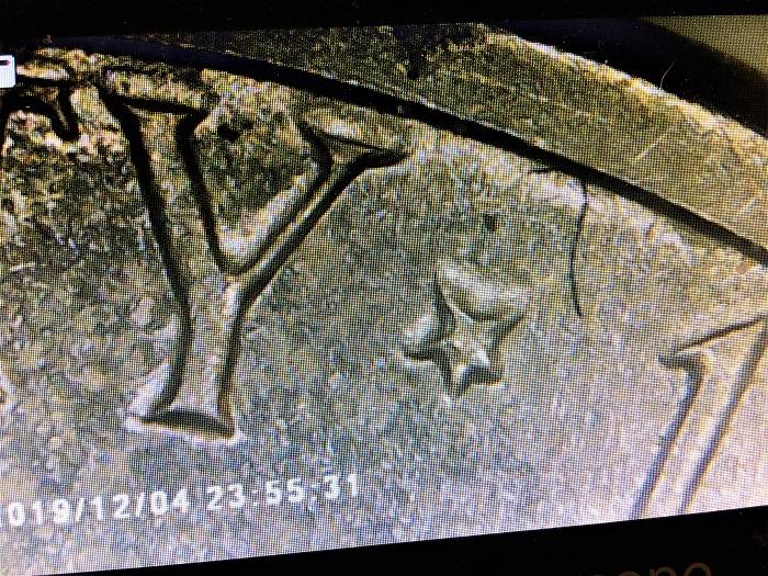 1971-D-Double-Struck-Date/Mm-Jefferson-5c.--Aliens-Landed-On-Thomas'-Head?