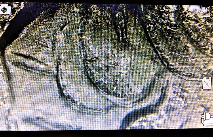 1922-S-Peace-Dollar-/-VAM-3-Tripled--Reverse-Verify