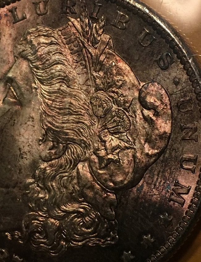 1879-S-PL-Morgan-Dollar.--Grade-And-Comments.