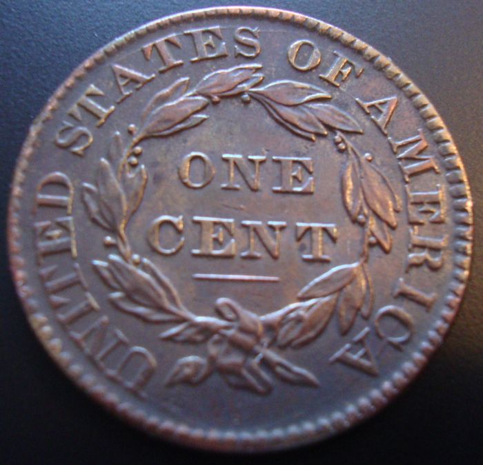Opinons-On-This-1830-Large-Cent