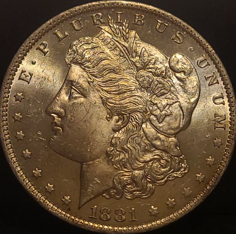 1881-O-Morgan-Grade/Opinions
