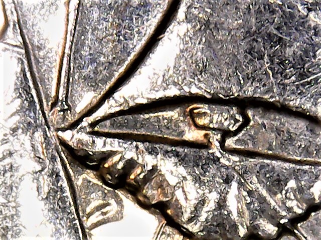 2000-P-VA-Quarter-Reverse-D/Cud