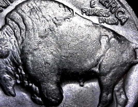 1937-D-3-Legged-Buffalo