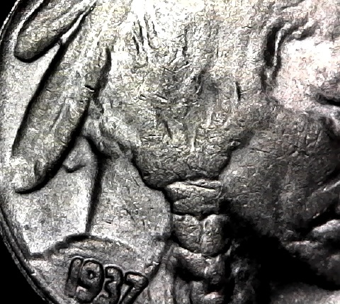 1937-D-3-Legged-Buffalo