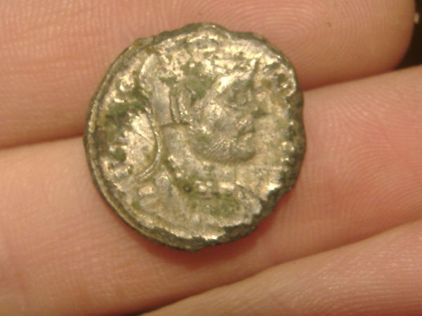 Some-Coins-I-Purchased