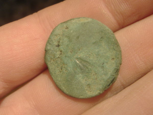 Some-Coins-I-Purchased