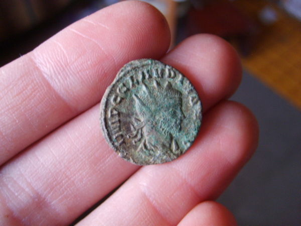 Roman-Hoard-Coins--Read!