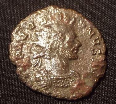 Better-Pictures-Of-Unidentified-Emperor
