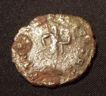 Better-Pictures-Of-Unidentified-Emperor