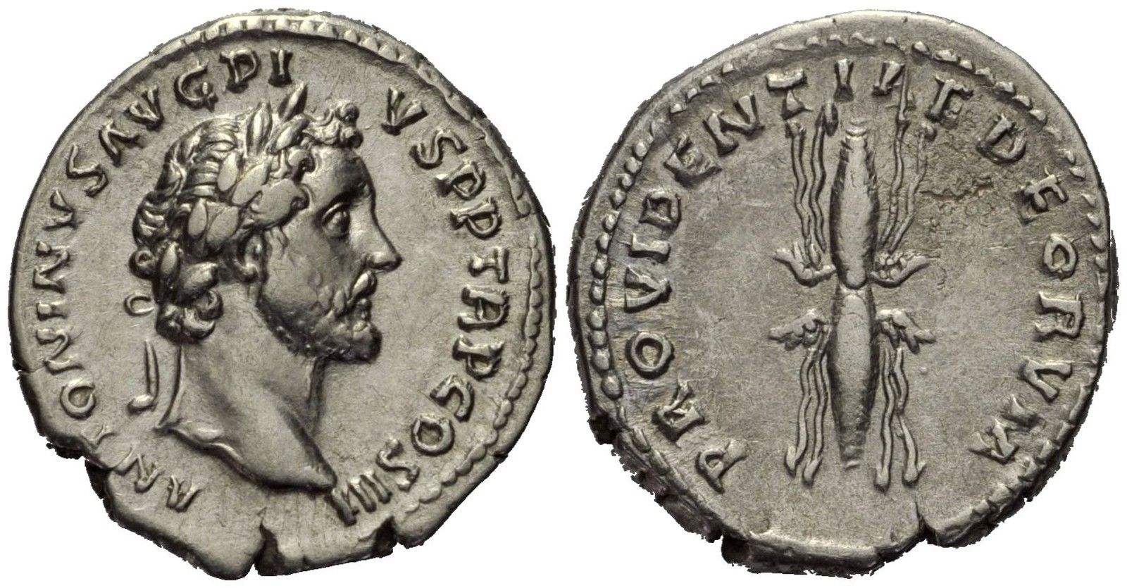 A-Silver-Addition-To-The-Collection,-Pius-Denarius