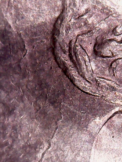 1892-5-Cents-Grading,-Error,-And-Value-Assistance