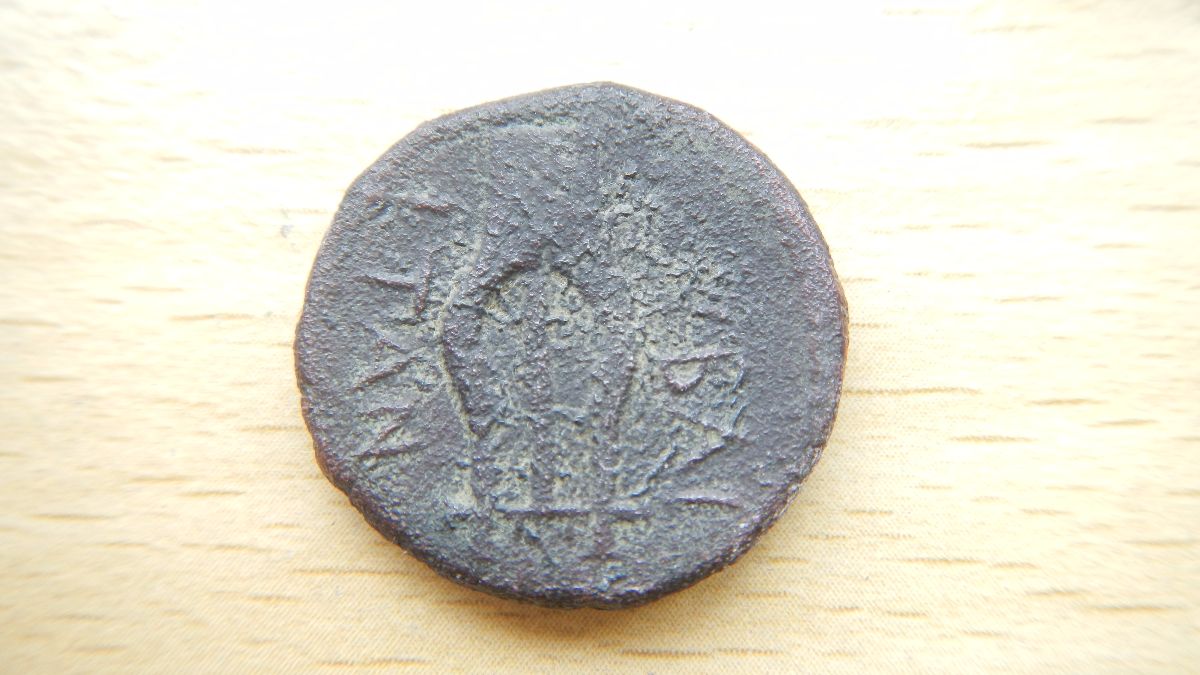 Greek-Coin-ID-Help--Lyre