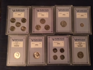 How-To-Store-Aacgs-Coins
