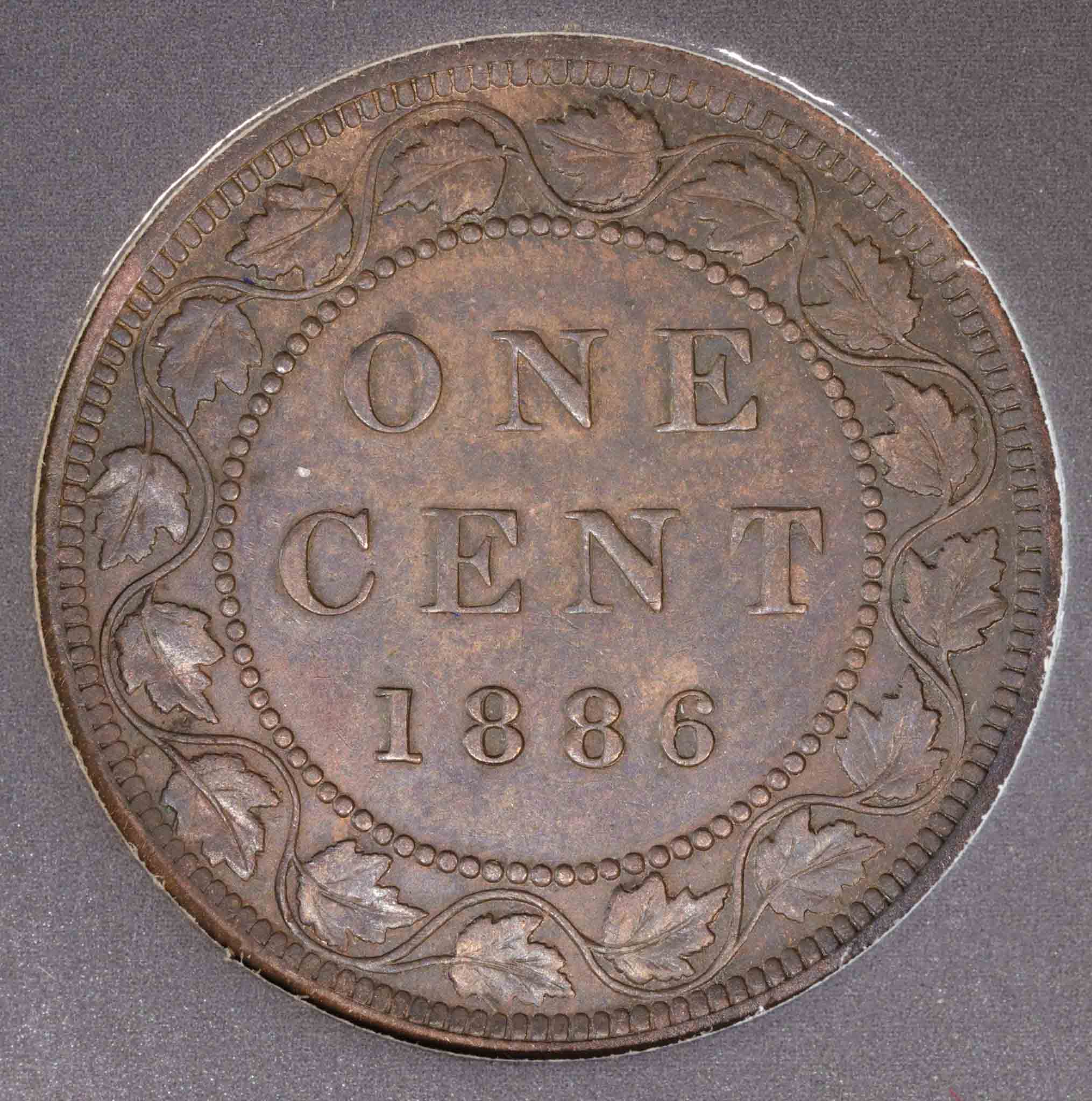 1886-Canada-One-Cent-Obverse-2---Repunch-Or-MD?