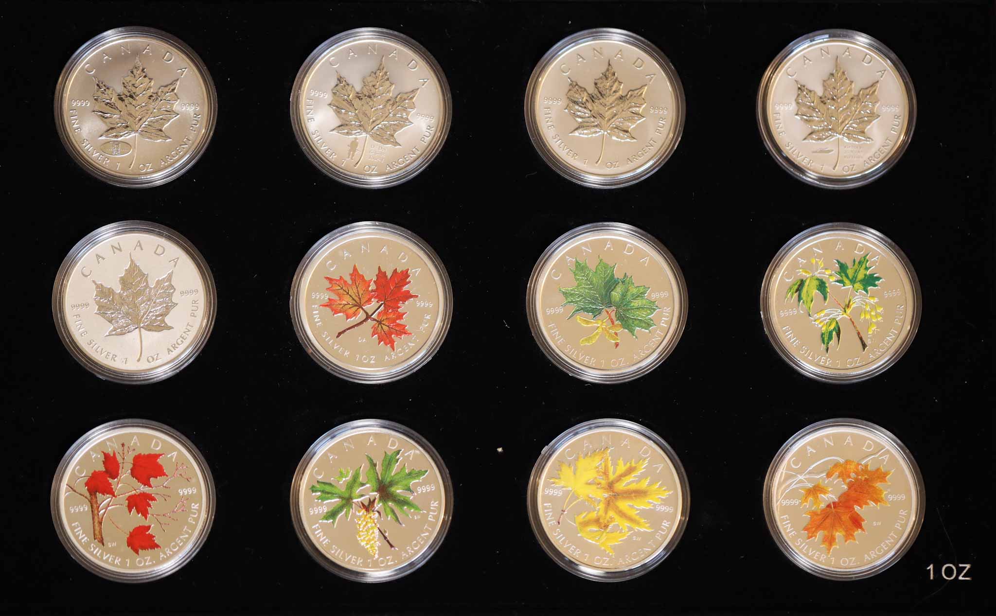 My-Collection-Of-1-Ounce-Silver-Maples