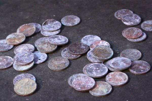What-In-The-World-Would-Eat-Coins-Away-Like-This?