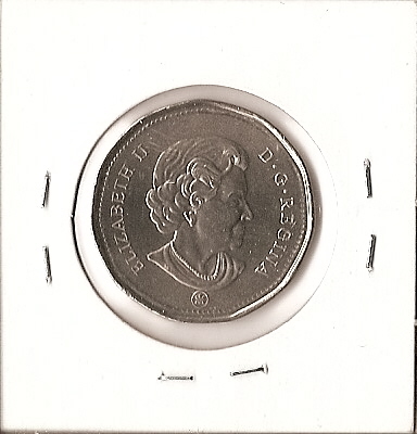 2007-1-Dollar-Error