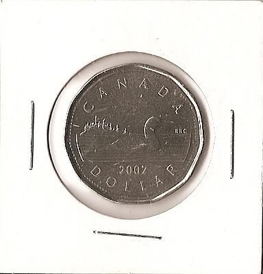 2007-1-Dollar-Error