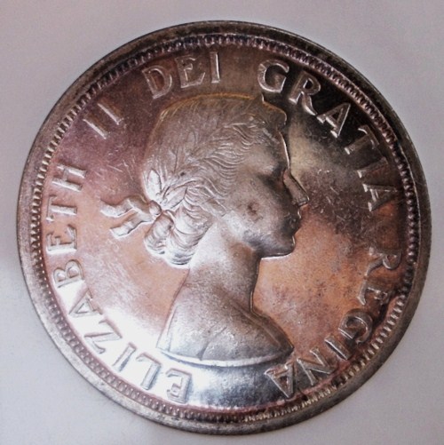 Help-With-ANACS-Graded-1954-Silver-Dollar:-Pl,-MS-Or-Both?