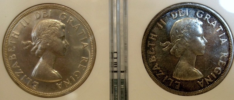 Help-With-ANACS-Graded-1954-Silver-Dollar:-Pl,-MS-Or-Both?