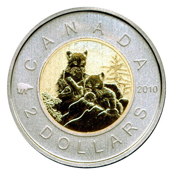 New-Addition-To-My-2-Dollar-Set