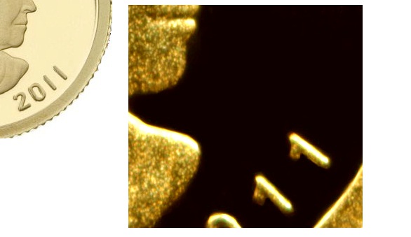 1/25-Ounce-Gold-Series---Geese-2011