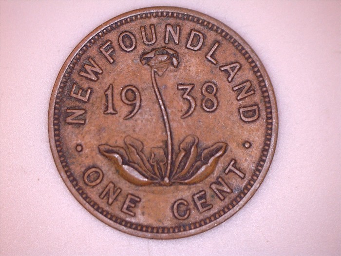 Do-You-Hunt-At-Flea-Markets?