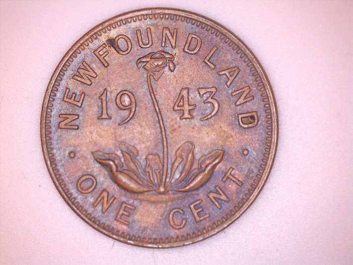 Do-You-Hunt-At-Flea-Markets?