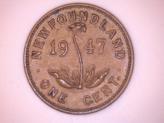Do-You-Hunt-At-Flea-Markets?