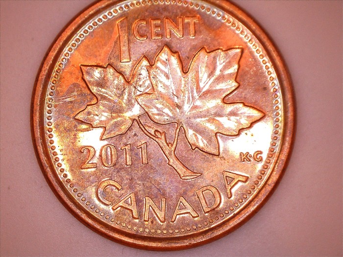 2011-Half-Golden-Penny