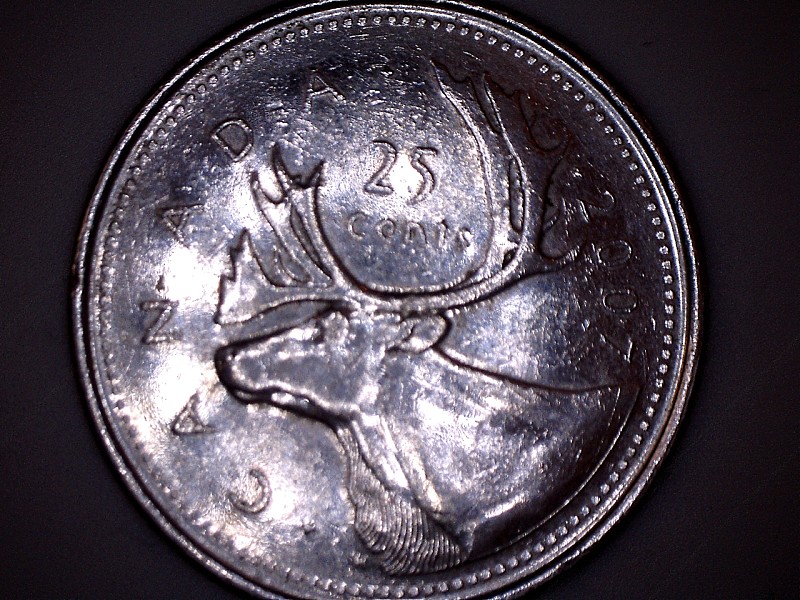 2007-Quarter-Bent-T