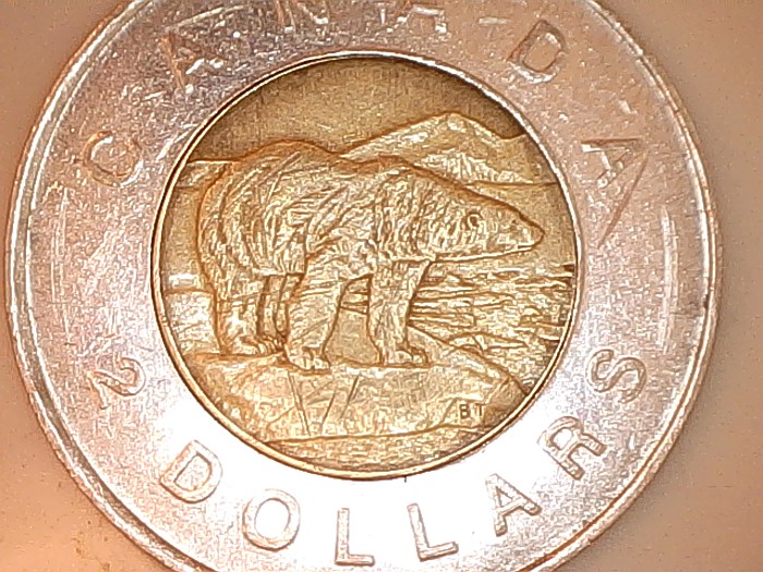 1996-And-2007-Toonie's