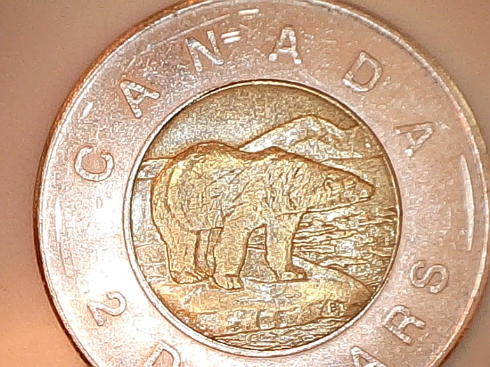 1996-And-2007-Toonie's