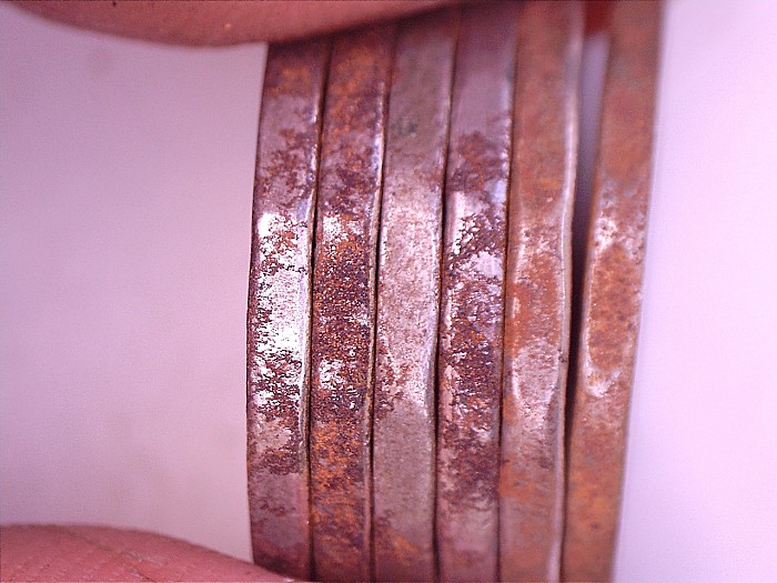 Rusty-Nickels