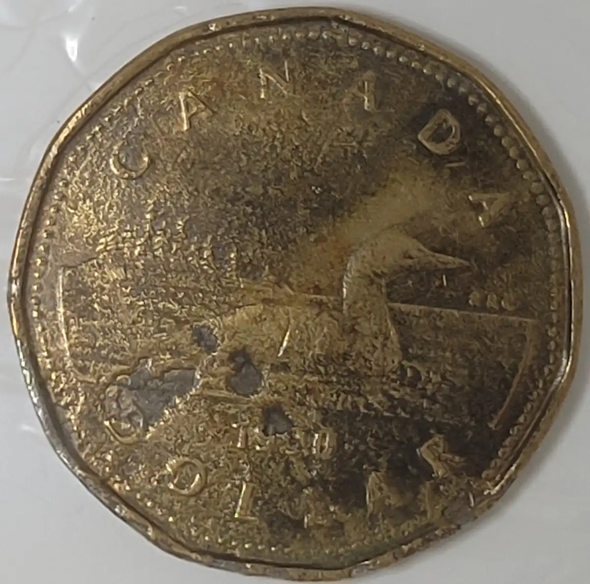 Need-Help-On-Canadian-$1