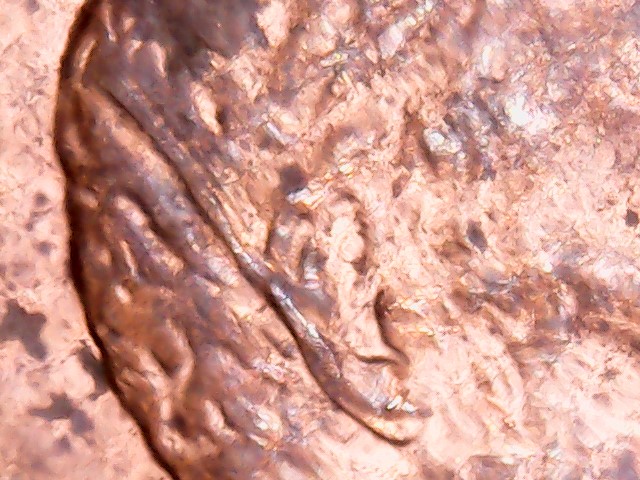 2004-Penny-Possible-Die-Crack
