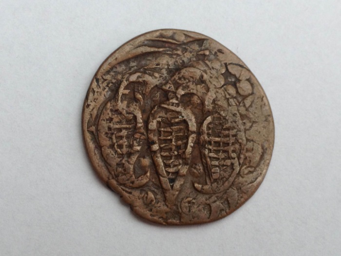 Unknown-Old-Coin-With-Carrots?