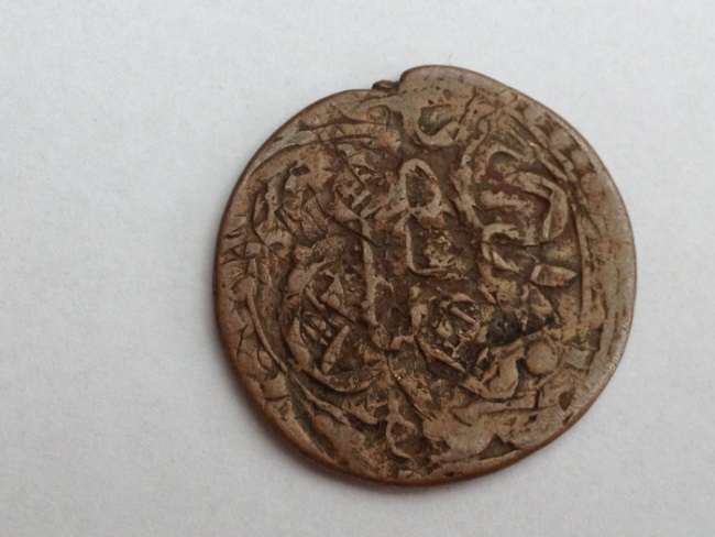 Unknown-Old-Coin-With-Carrots?