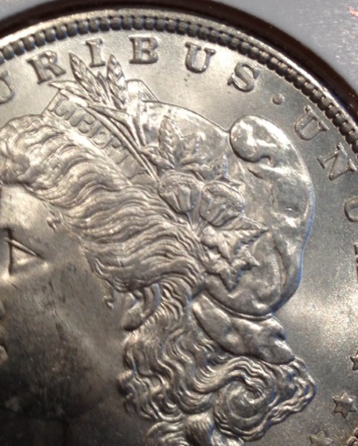 1896-Morgan-Dollar