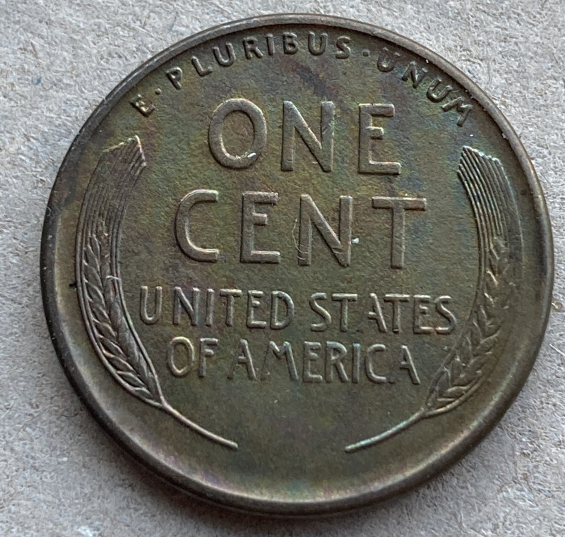 1913-S-Lincoln-Cent-For-Grading