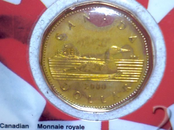 Ugly-PVC-Damage-On-Loonie-In-RCM-Card